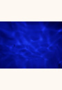 avis Projecteur dynamique Phoque Aqua Dream par Joanna