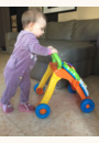 avis Super Trotteur parlant 2 en 1 par Izabela