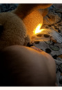 avis Peluche musicale Cookie™ l'Ours qui respire par Cynthia