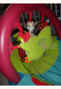 avis Cocoon Aire Sophie la Girafe par magali