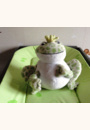avis Twinkling Firefly Frog par janine