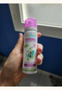 avis Spray Répulsif anti-poux par Lecoq
