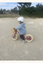 avis Draisienne acier vintage par Maygan