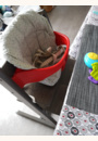 avis Chaise Tripp Trapp® par Anaïs