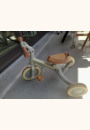 avis Tricycle 4 en 1 Fairy Garden par Thomas