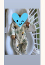 avis Cocoonababy par Marion