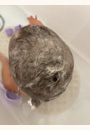 avis Shampooing nourrissant cheveux bouclés par Mathilde