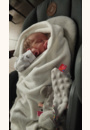 avis Chaise haute Minla par Marjorie