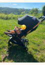 avis Poussette APINO par Anais