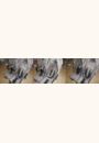 avis Poussette canne double Kikoe Twin par Blandine