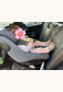 avis Siège auto Mica 360 Pro par Alison