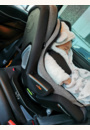 avis Siège auto Groowy + Coque Nest i-size par Lidie
