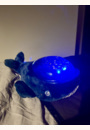 avis Projecteur dynamique Baleine Aqua Dream Deluxe par Emeraude