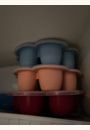 avis Multi Portions silicone par Cendrine