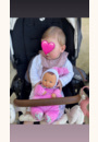 avis Miss rose fleur par Mégane