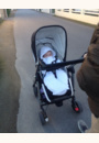 avis Poussette Loola 3 par Mailys