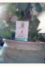 avis Eau de senteur sans alcool Winnie l’Ourson par anabela