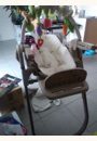 avis Chaise Haute Polly Magic Relax par Sharon