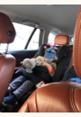 avis Siège auto Transcend par Delphine