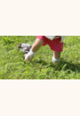 avis Chaussons semelle souple par Fleur