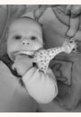 avis Sophie la Girafe par Johana