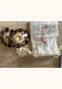 avis Coquillage d'allaitement par Maeva