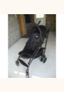 avis Poussette Lite Way par Gabrielle 