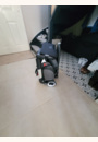 avis Poussette Ant par suzie