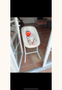 avis Transat Gold CYBEX par Ana