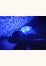 avis Veilleuse projecteur Tortue Aqua Dream par Ségolène