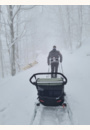 avis Remorque vélo Thule Chariot Lite par Elise