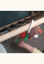 avis Hochet Singe multiactivités par 