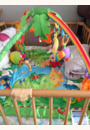 avis Tapis d'éveil jungle par Desgranges 