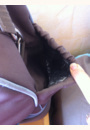 avis Sac à langer Fashion par Melissa