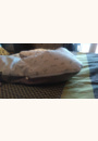 avis Coussin d'allaitement et de grossesse Lapins par sarah