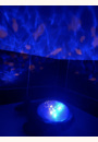 avis Projecteur dynamique Baleine Aqua Dream Deluxe par Faustine
