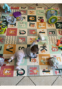 avis Tapis de Jeu pliant Animaux-Ville par Aurelia