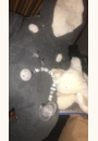 avis Peluche Lapin Pompon 35 cm par Rojda