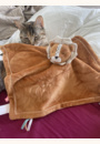 avis Doudou Babou en Veloudoux par Marion