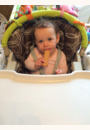 avis Chaise haute Prima Pappa Diner par Maeva