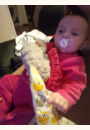 avis Kit Sucette et attache-sucette 0-6 mois par Camille