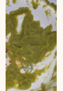avis Purée lisse de Haricot Vert bio par Aurélien