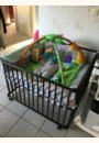 avis Tapis d'éveil jungle par Aurore