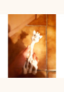 avis Sophie la Girafe par Slimane