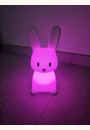 avis Grande veilleuse Lapin par Camille