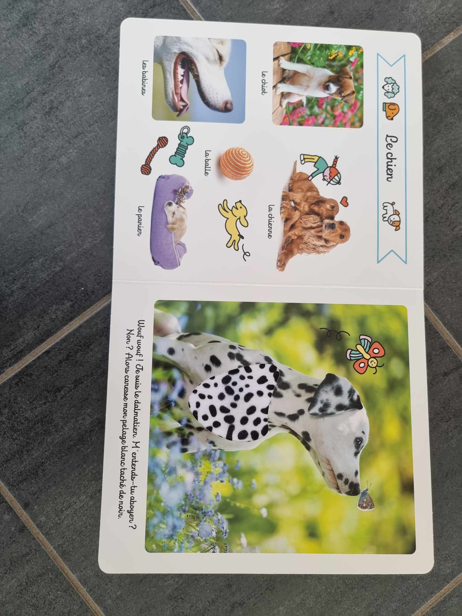 Pré-visualisation