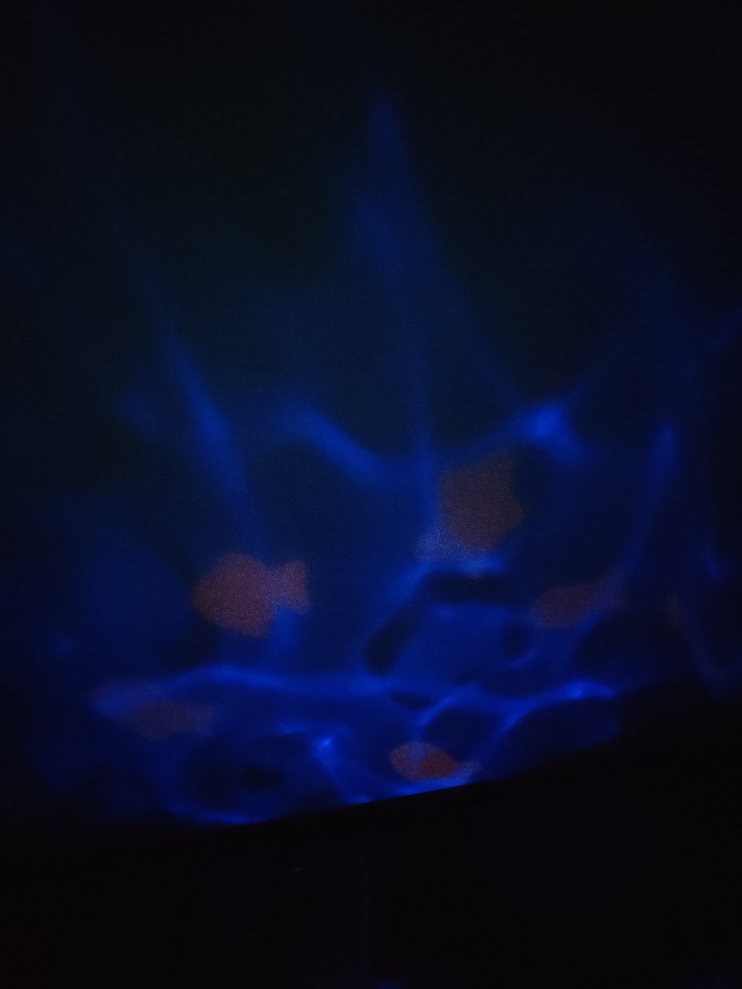 Pré-visualisation