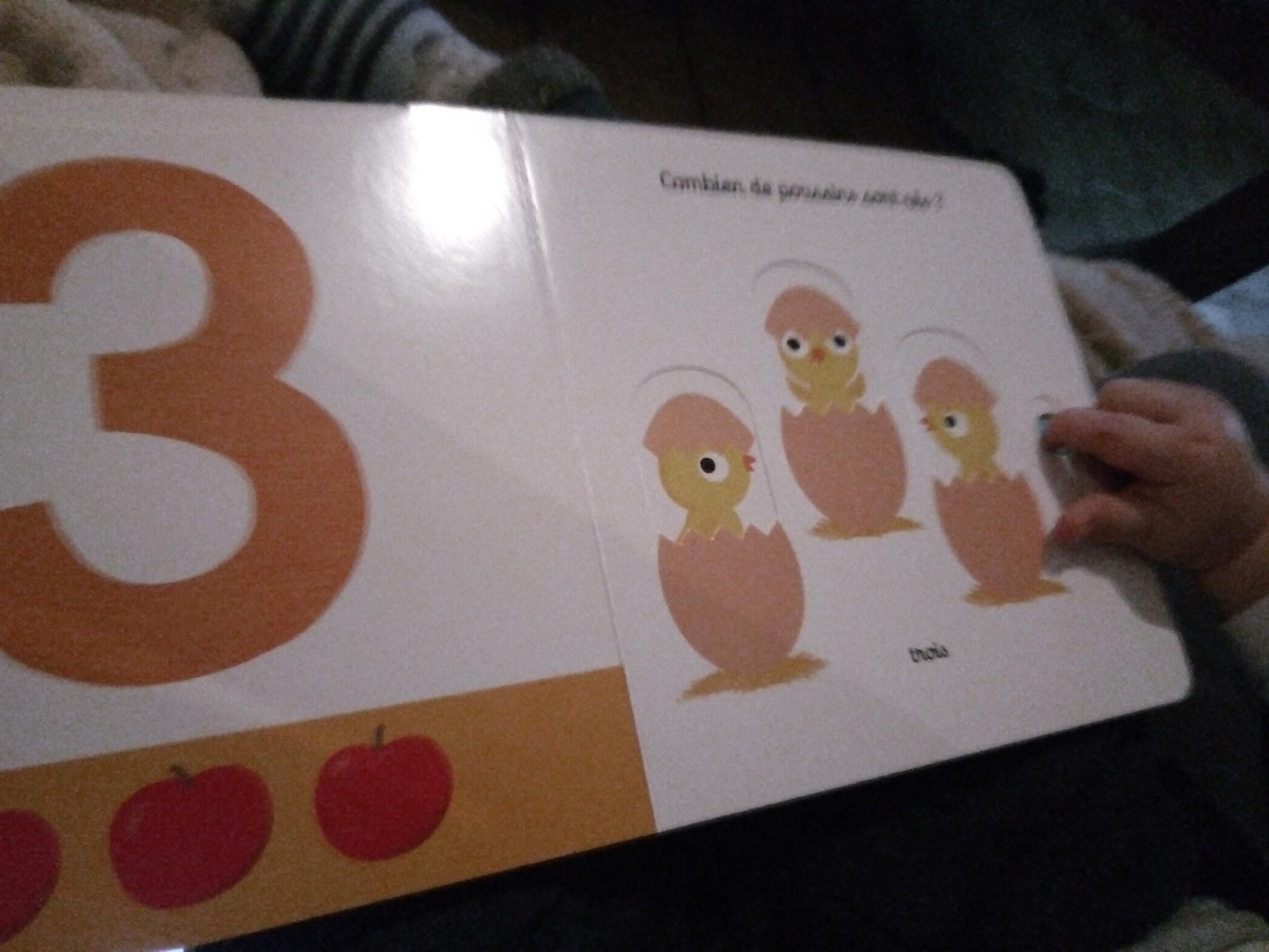 Pré-visualisation