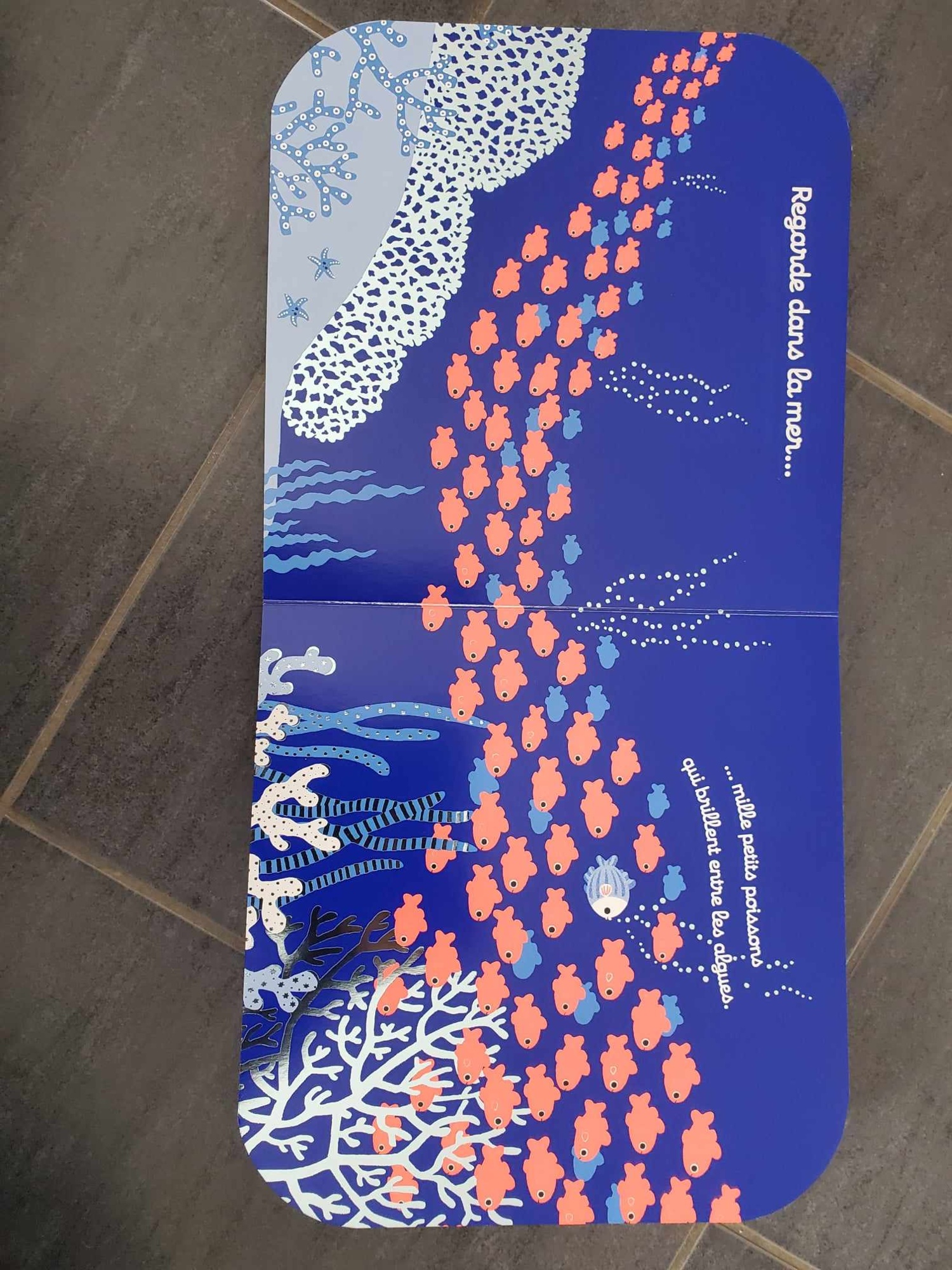Pré-visualisation