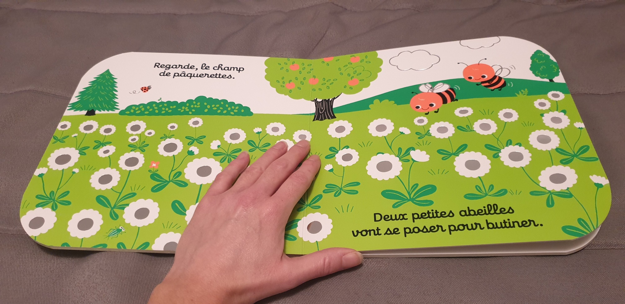 Pré-visualisation
